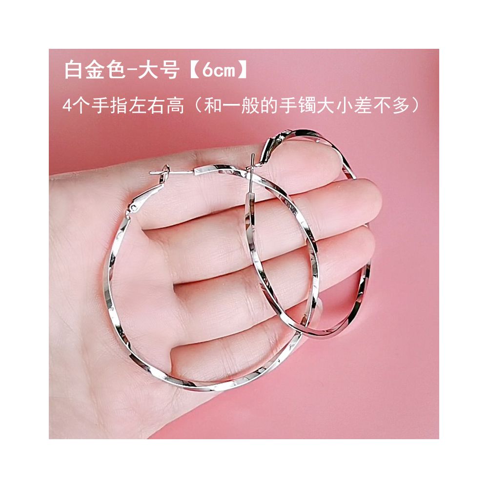 European and American earrings with fashionable temperament 2025 new explosive style exaggerated large circle earrings for women 925 silver needle ear buckle