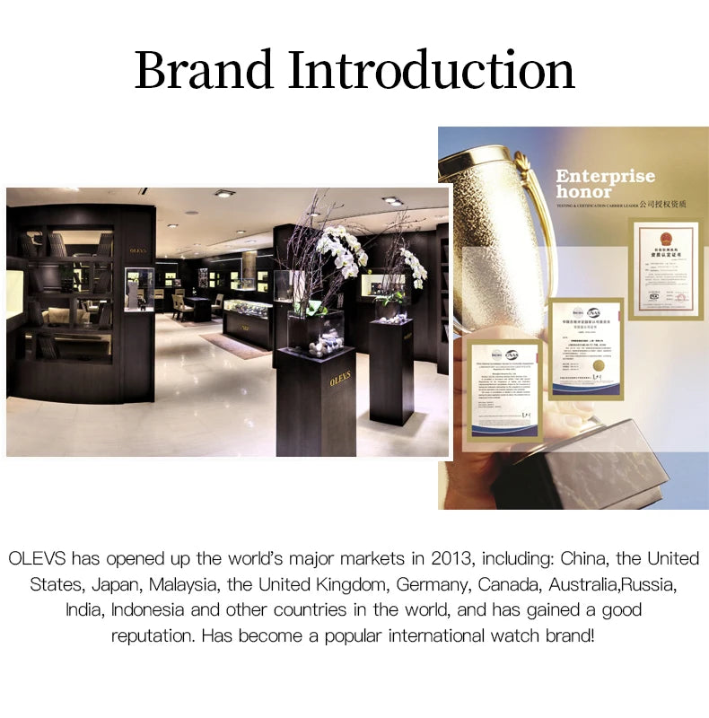 OLEVS 6635 Luxury Brand Ladies Watch Automatic Mechanical Wristwatch Waterproof Stainless Steel Watch For Women Chronograph Date