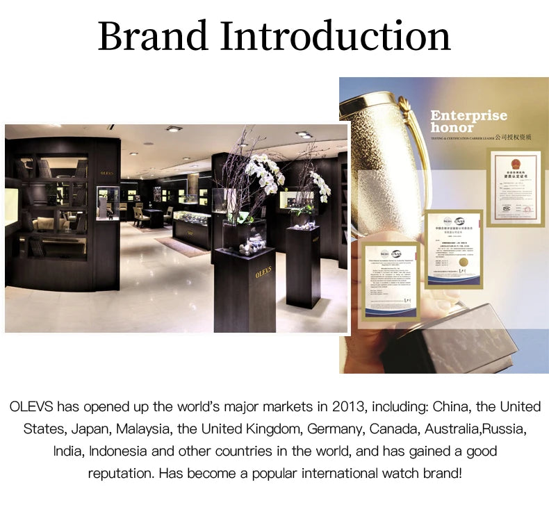 OLEVS Ladies Watch Woman Luxury Fashion Waterproof Watch for Women Watches Ceramic Automatic Mechanical Clock Gift Relogio